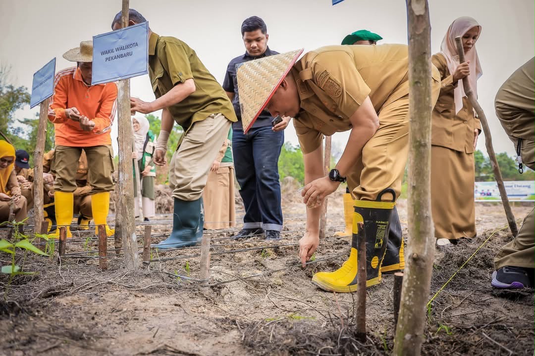 Manfaatkan Lahan Tidur, Wawako Apresiasi Kelompok Tani Agro Mandiri Sejahtera